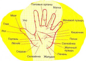 Диагностика внутренних болезней по рукам и лицу